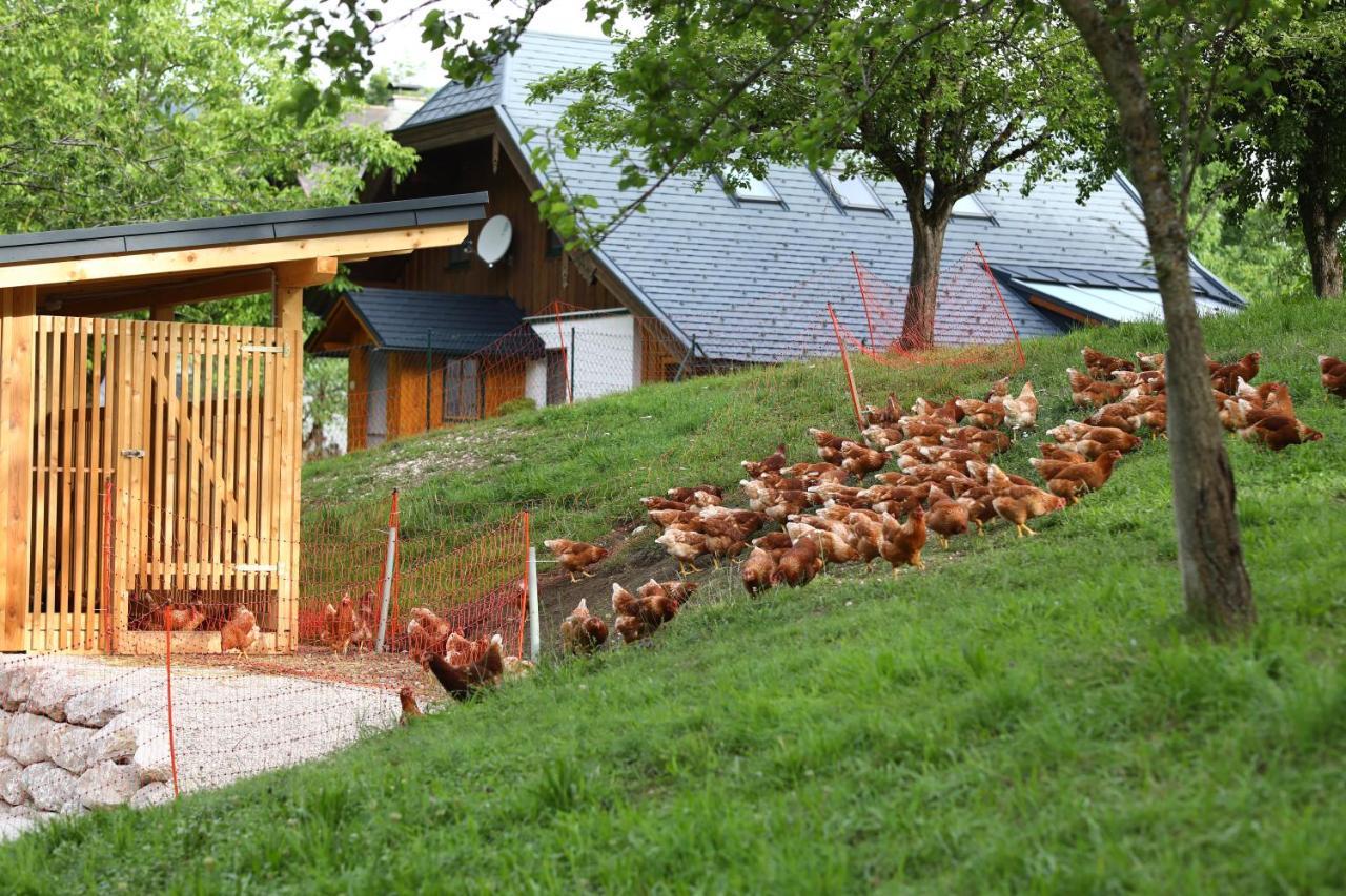 Attwengerhof Lejlighed Traunkirchen Eksteriør billede